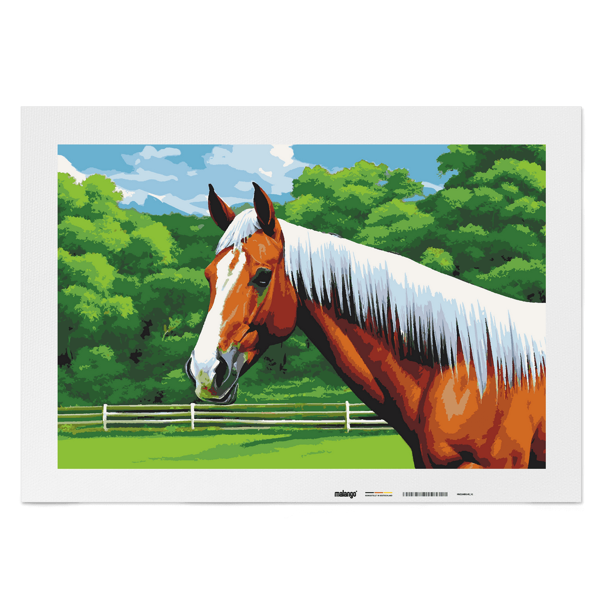 Malen nach Zahlen - Pferd Padme