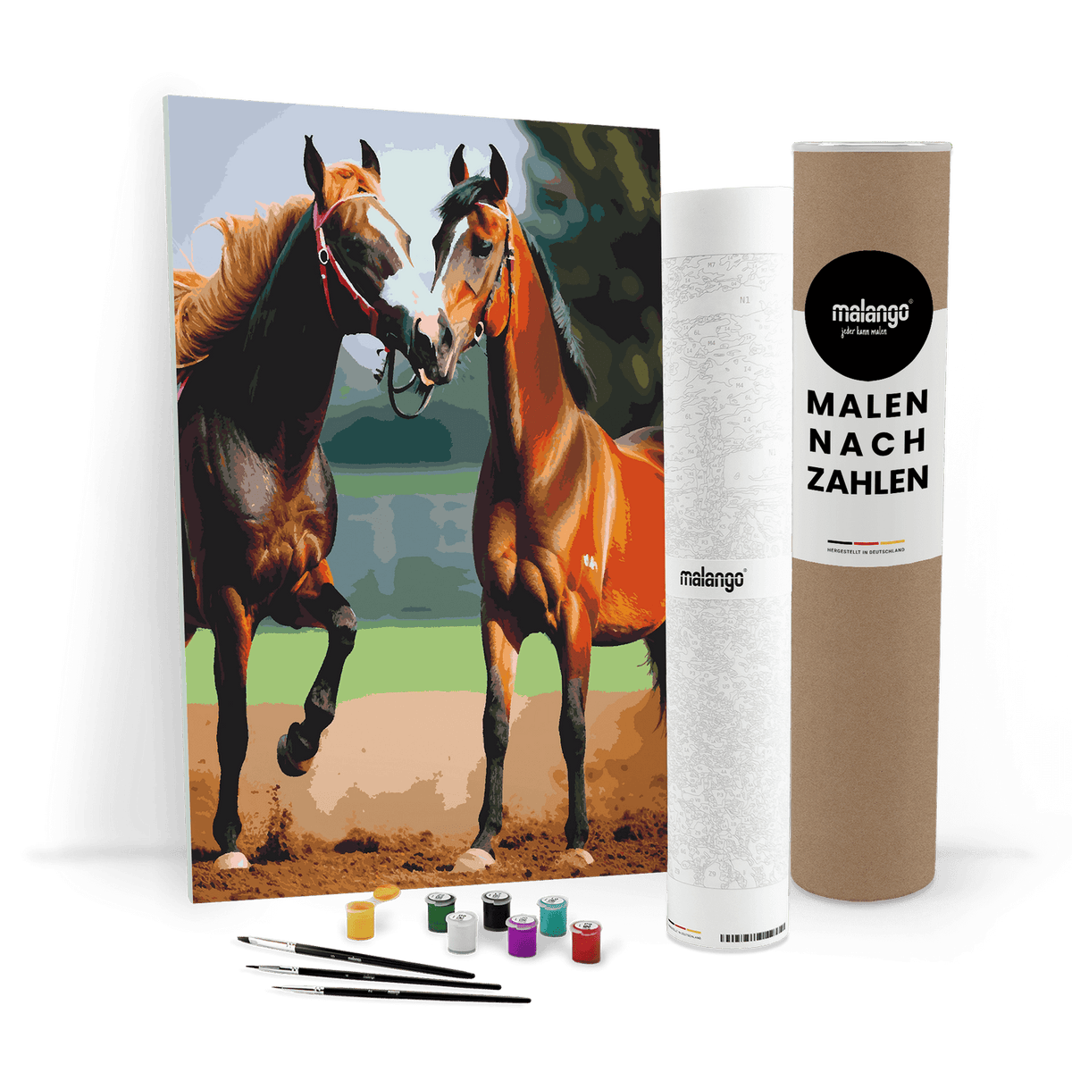 Malen nach Zahlen - Pferd Paloa und Paloma