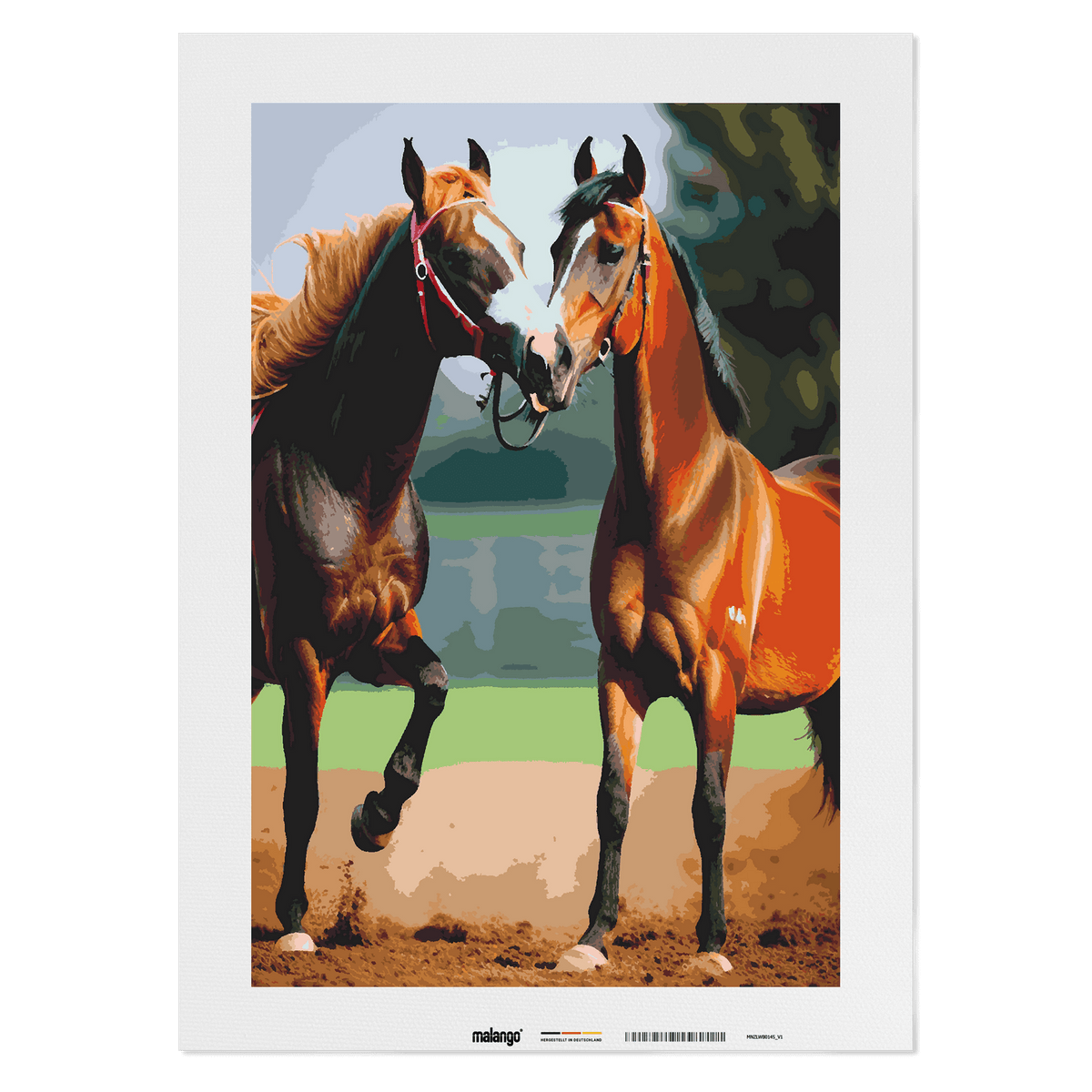 Malen nach Zahlen - Pferd Paloa und Paloma