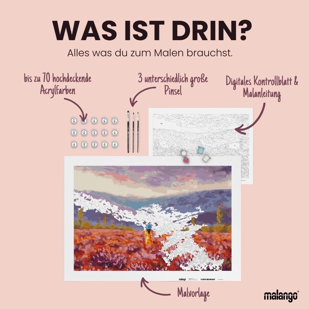 Malen nach Zahlen - GRAFFITI HÄNDE - LOVE HEART - LIMITED EDITION