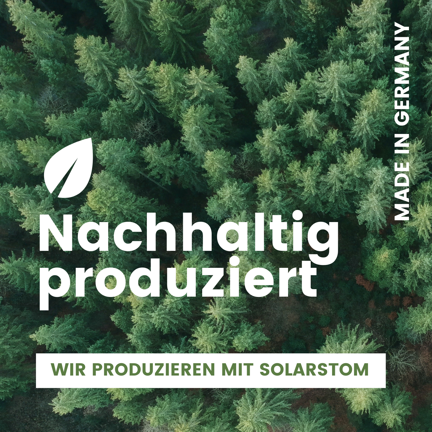 Malen nach Zahlen - Hirsch Hugo