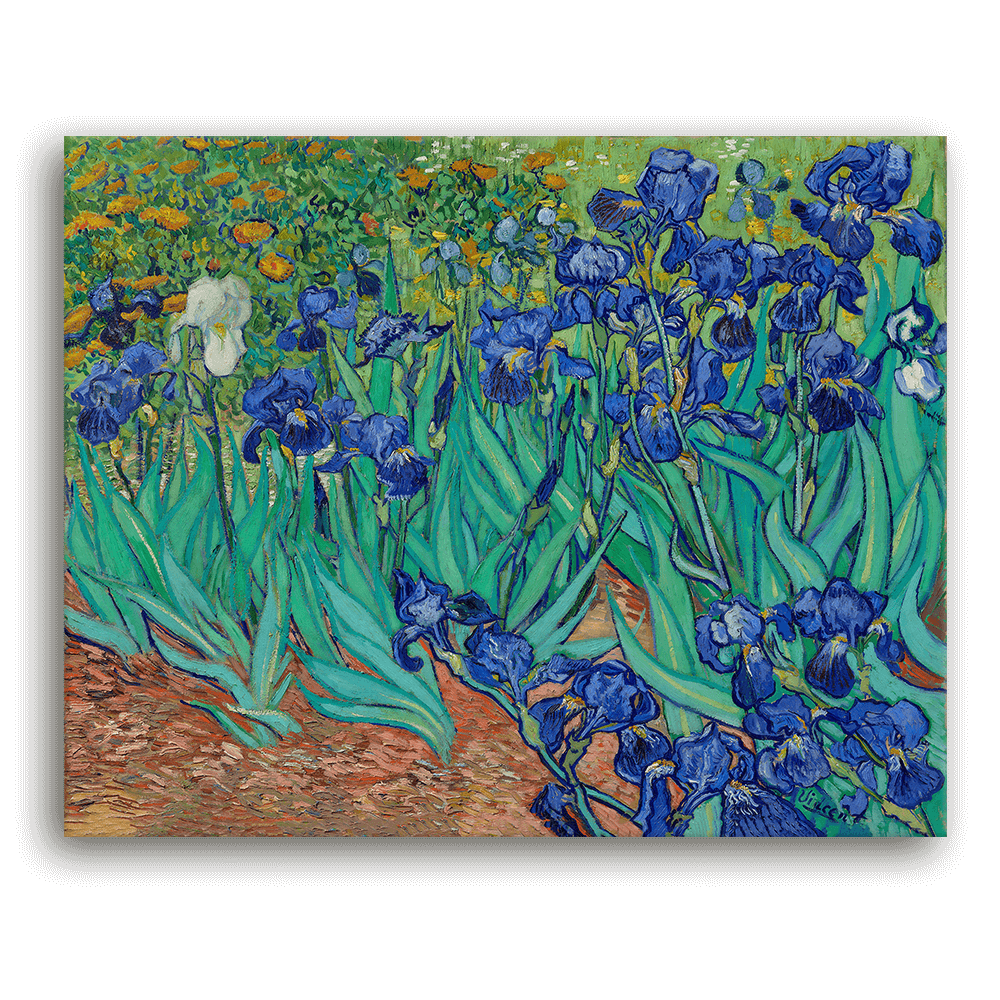 Leinwandbild - Vincent van Gogh - Irises (Schwertlilien)