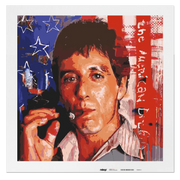 Malen nach Zahlen - The American Dream - Zinsky