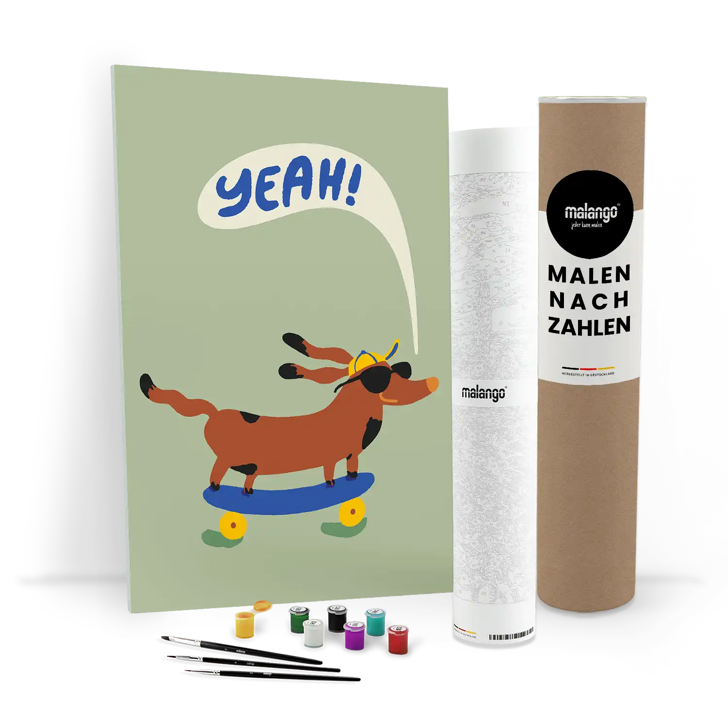 Malen nach Zahlen - Cool Dog On Skateboard - Raissa Oltmanns