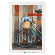 Malen nach Zahlen - Blumen am Fahrrad