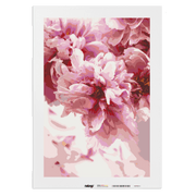 Malen nach Zahlen - Rosen zur Blüte