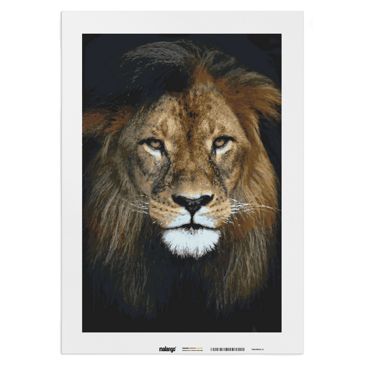 Malen nach Zahlen - Löwe mit sanftem Blick