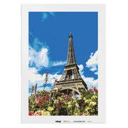 Malen nach Zahlen - Blumen am Eifelturm