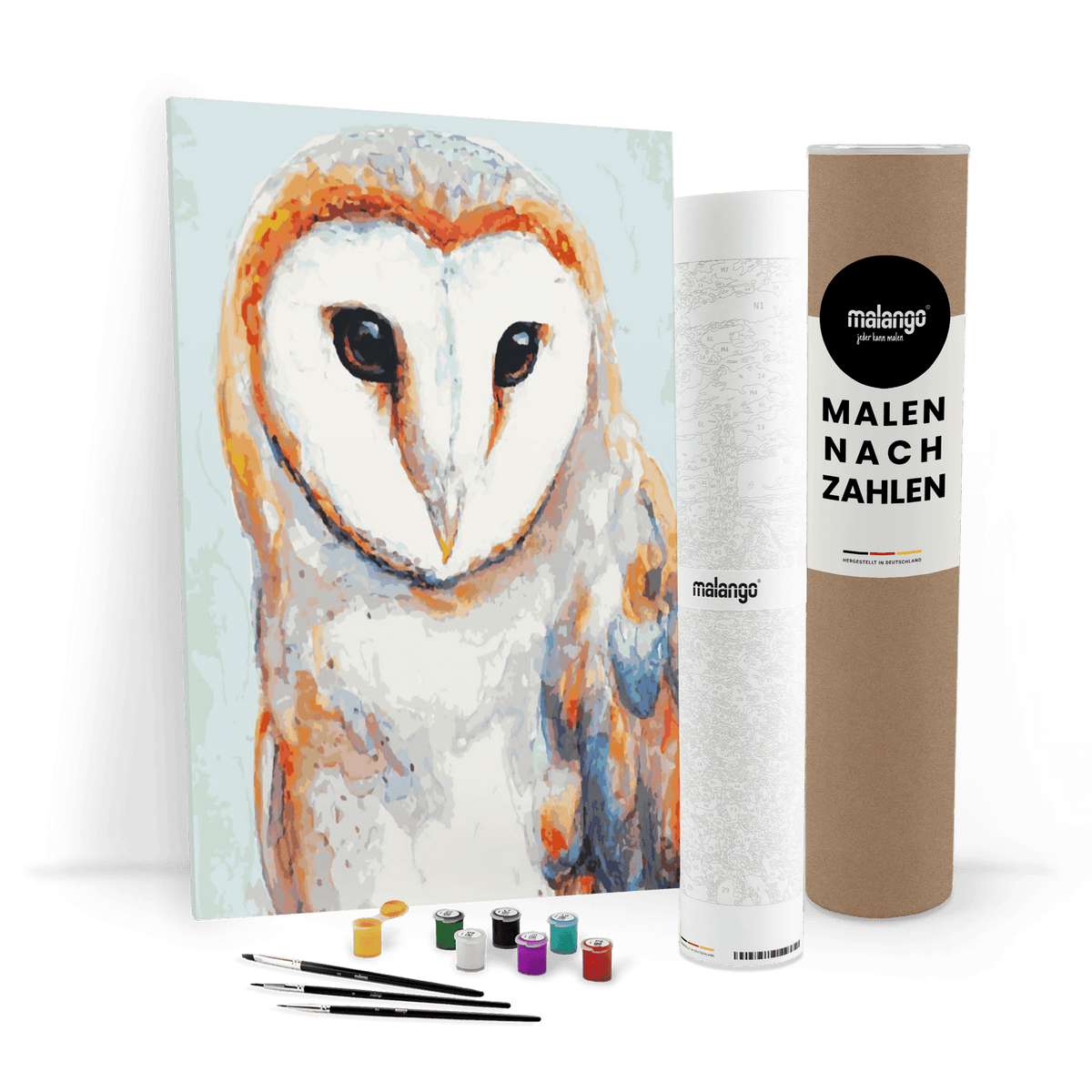 Malen nach Zahlen - Eule "anmutige Schleiereule"