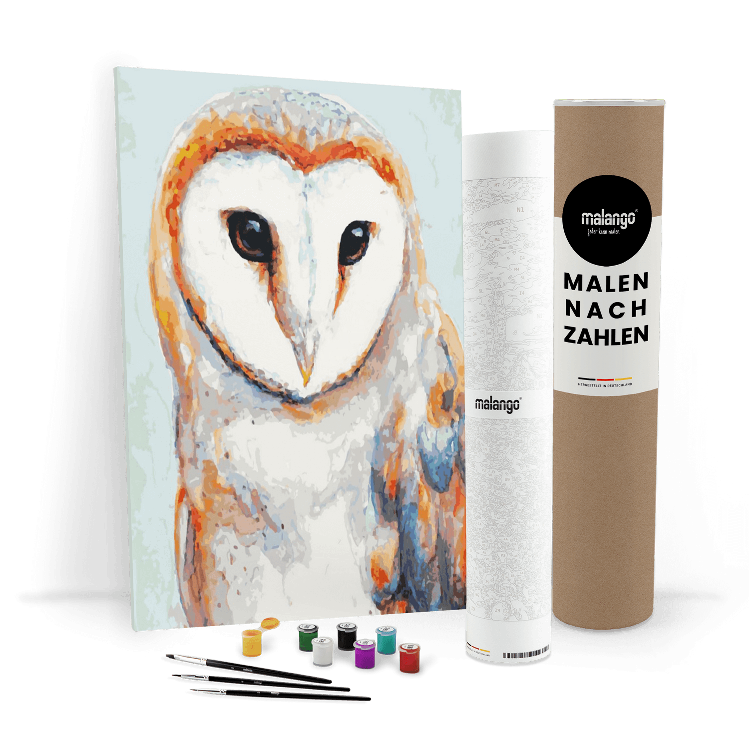Malen nach Zahlen - Eule "anmutige Schleiereule"
