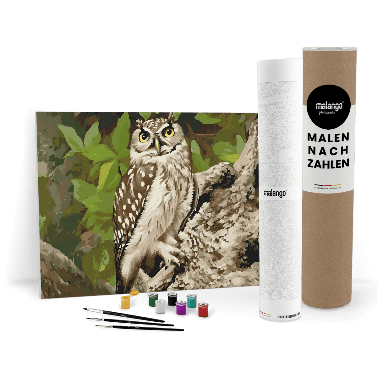 Malen nach Zahlen - Eule Emilio