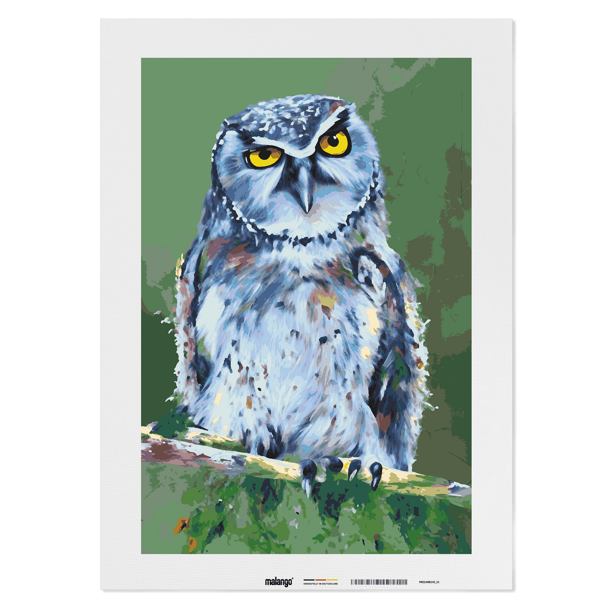 Malen nach Zahlen - Eule Ernst