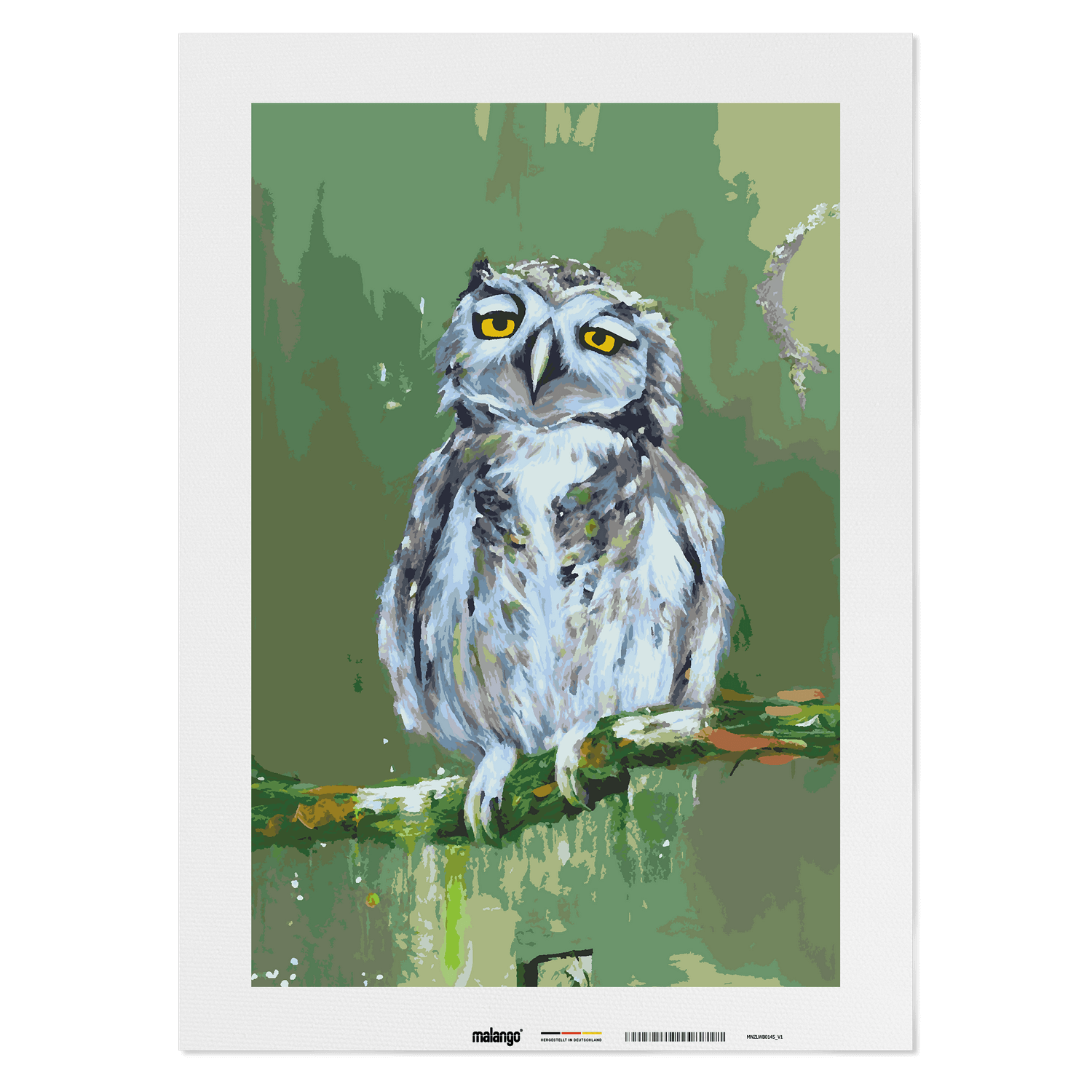 Malen nach Zahlen - Eule Eva
