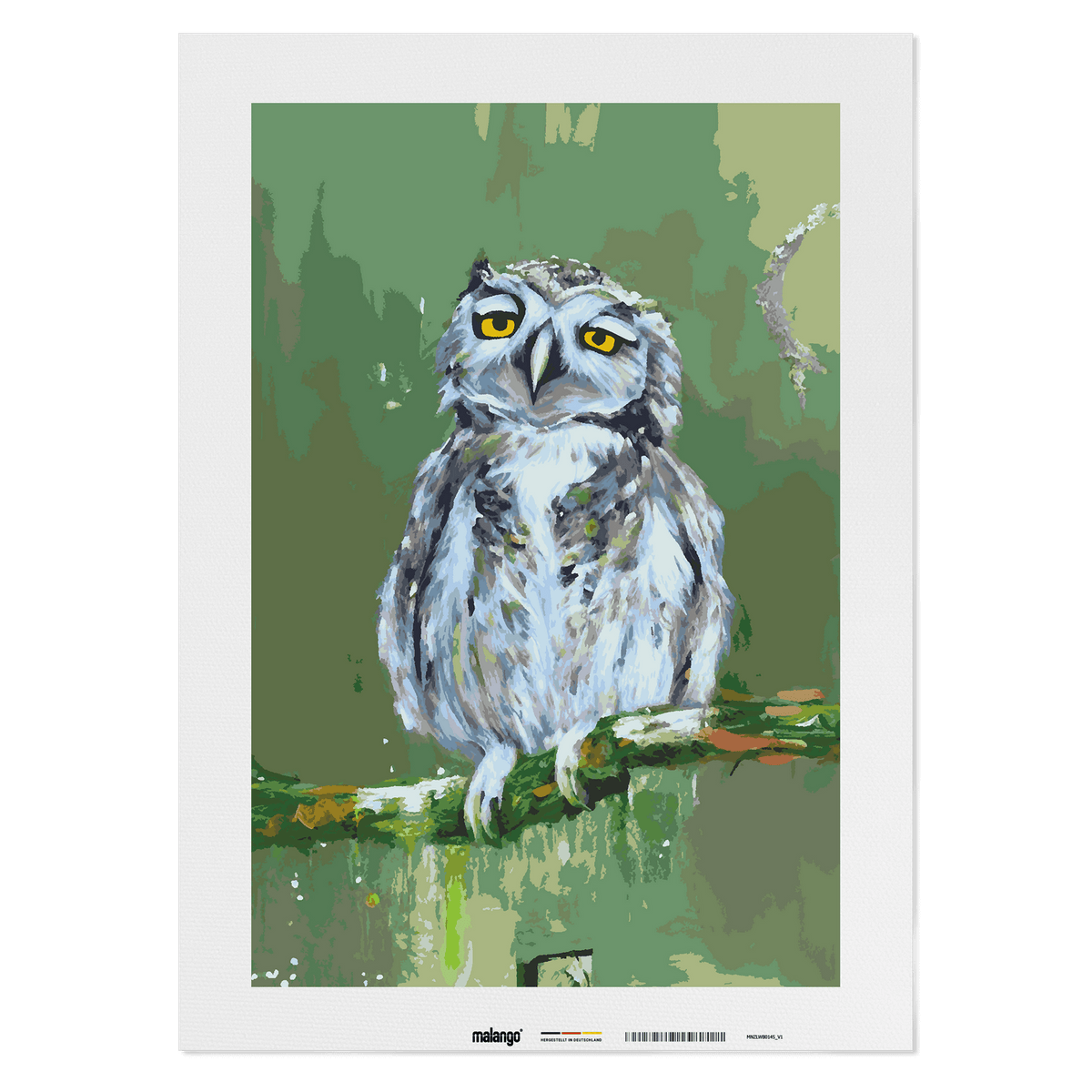 Malen nach Zahlen - Eule Eva