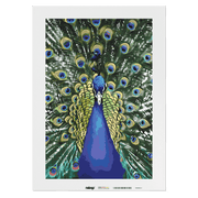 Malen nach Zahlen - Pfau Paco