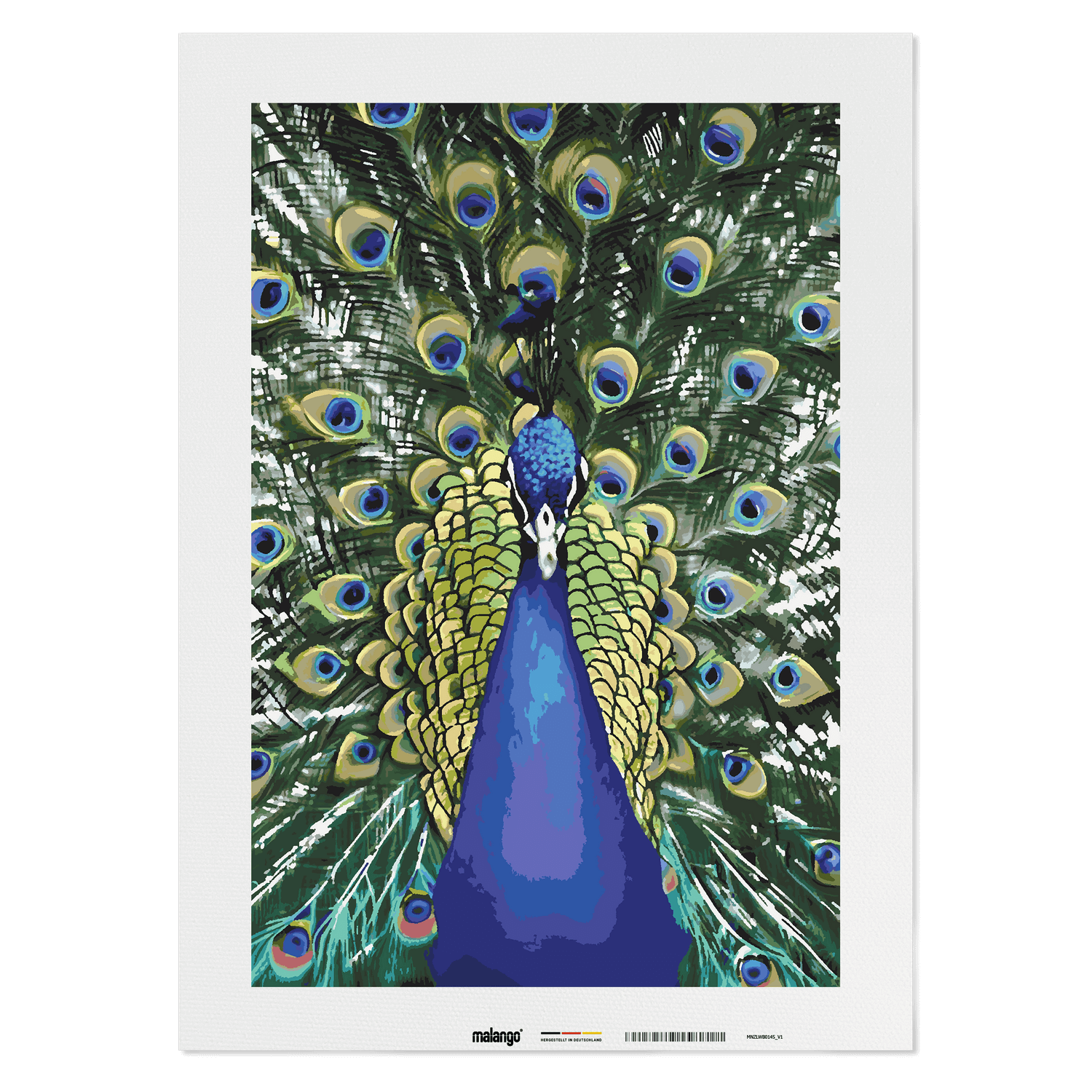 Malen nach Zahlen - Pfau Paco
