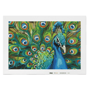 Malen nach Zahlen - Pfau Paolo