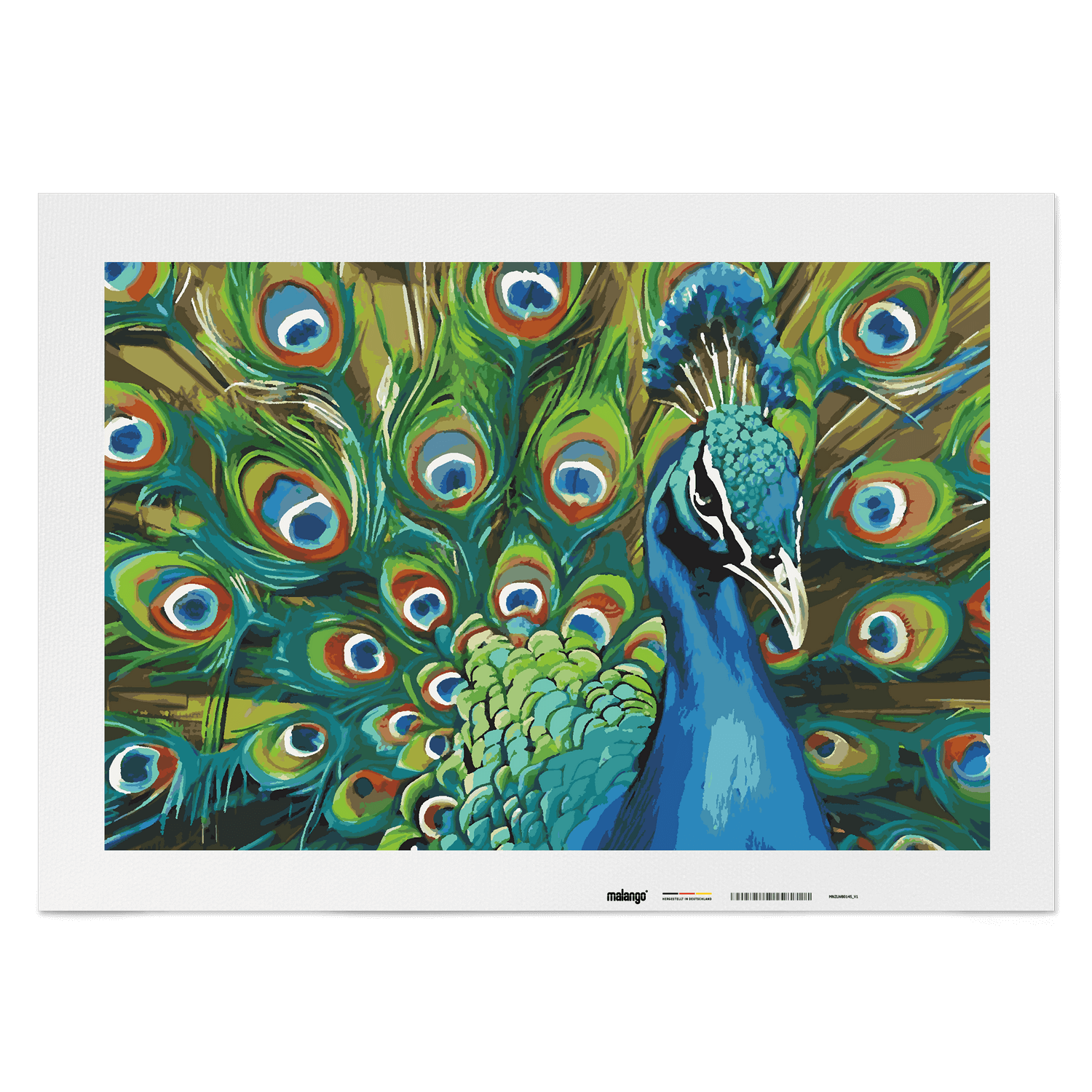 Malen nach Zahlen - Pfau Paolo