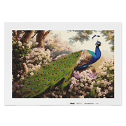 Malen nach Zahlen - Pfau Patrice