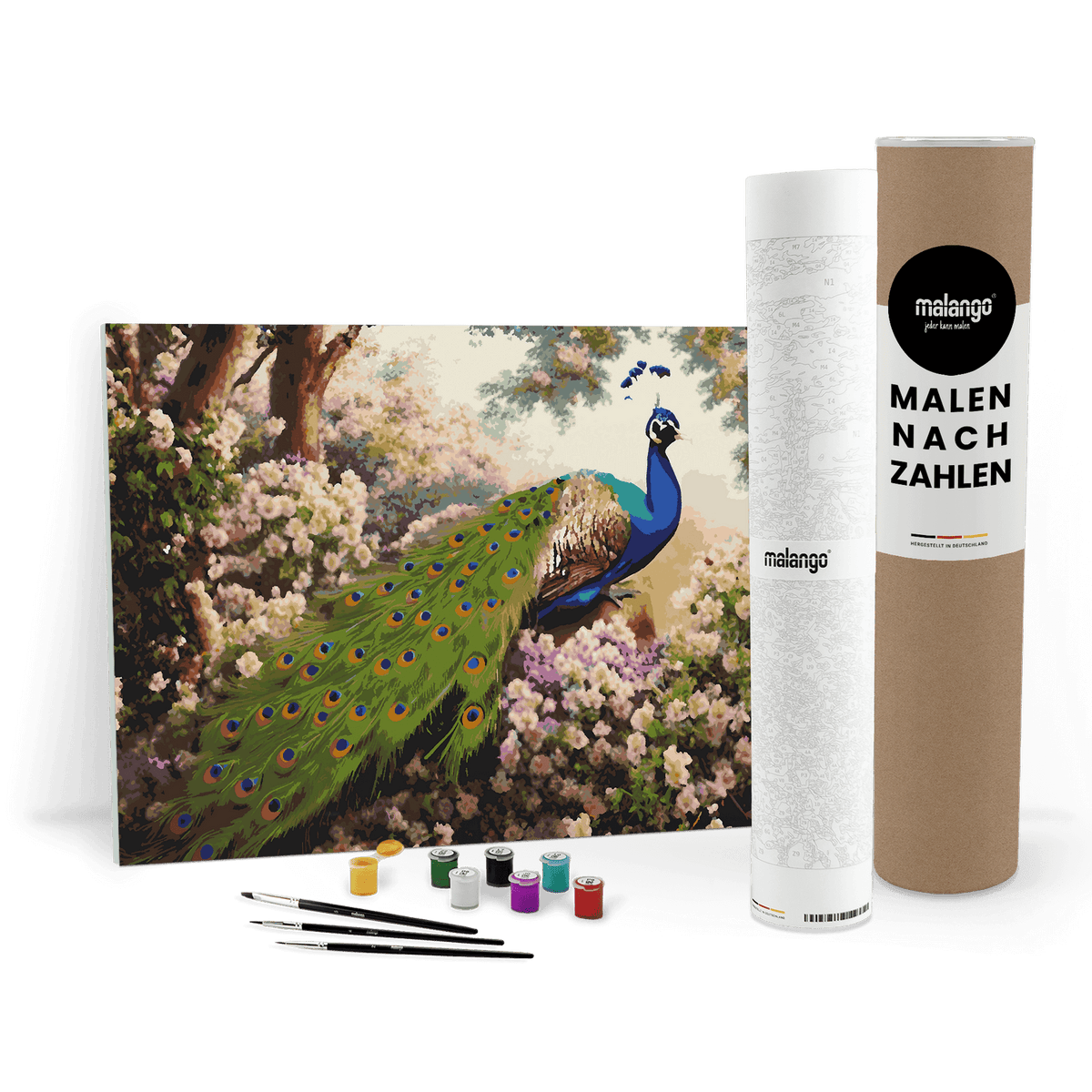 Malen nach Zahlen - Pfau Patrice