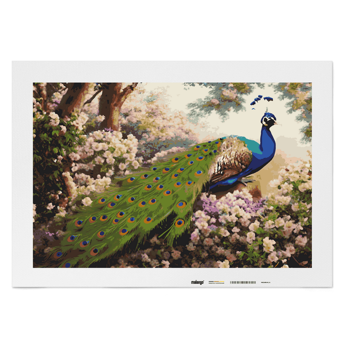 Malen nach Zahlen - Pfau Patrice