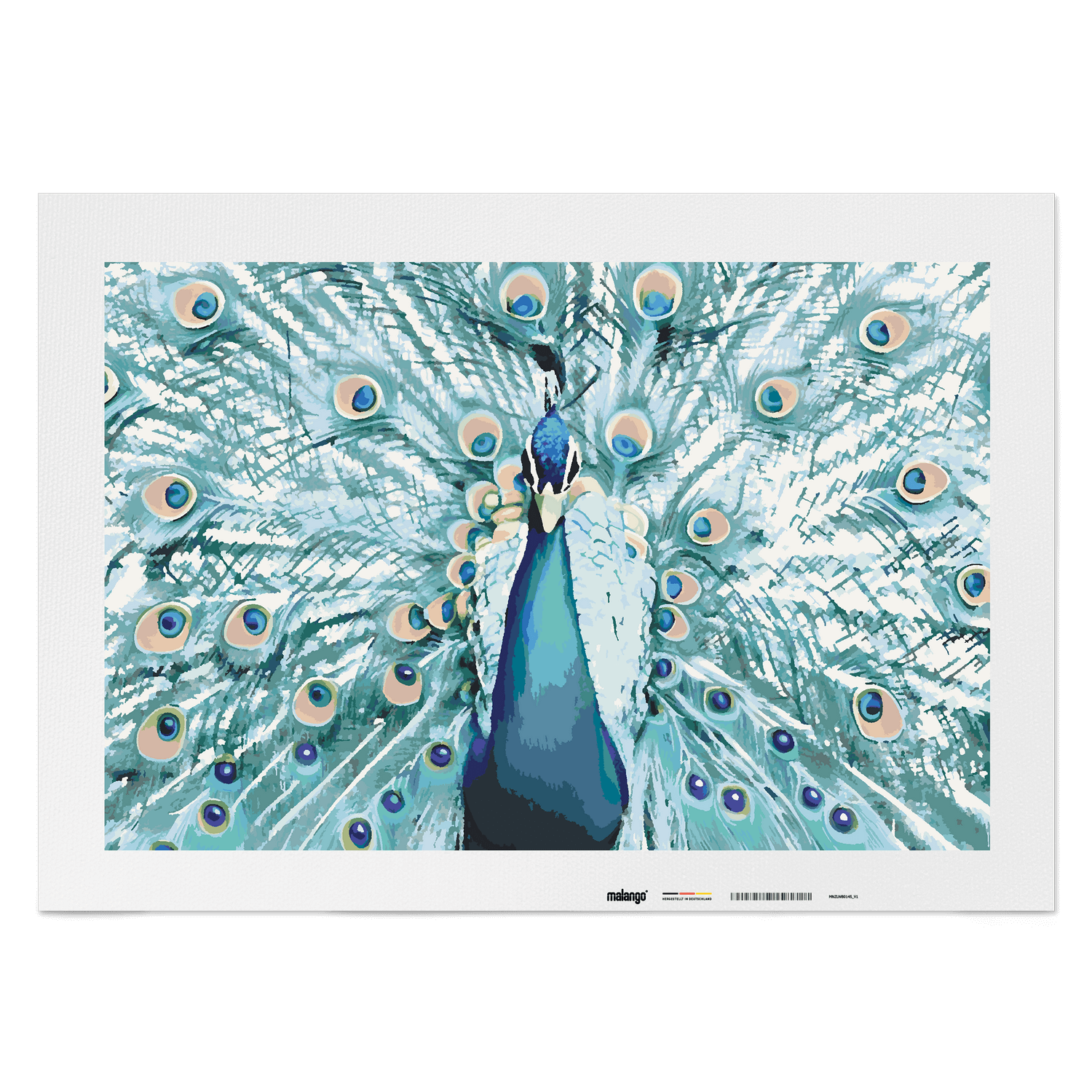 Malen nach Zahlen - Pfau Patricio