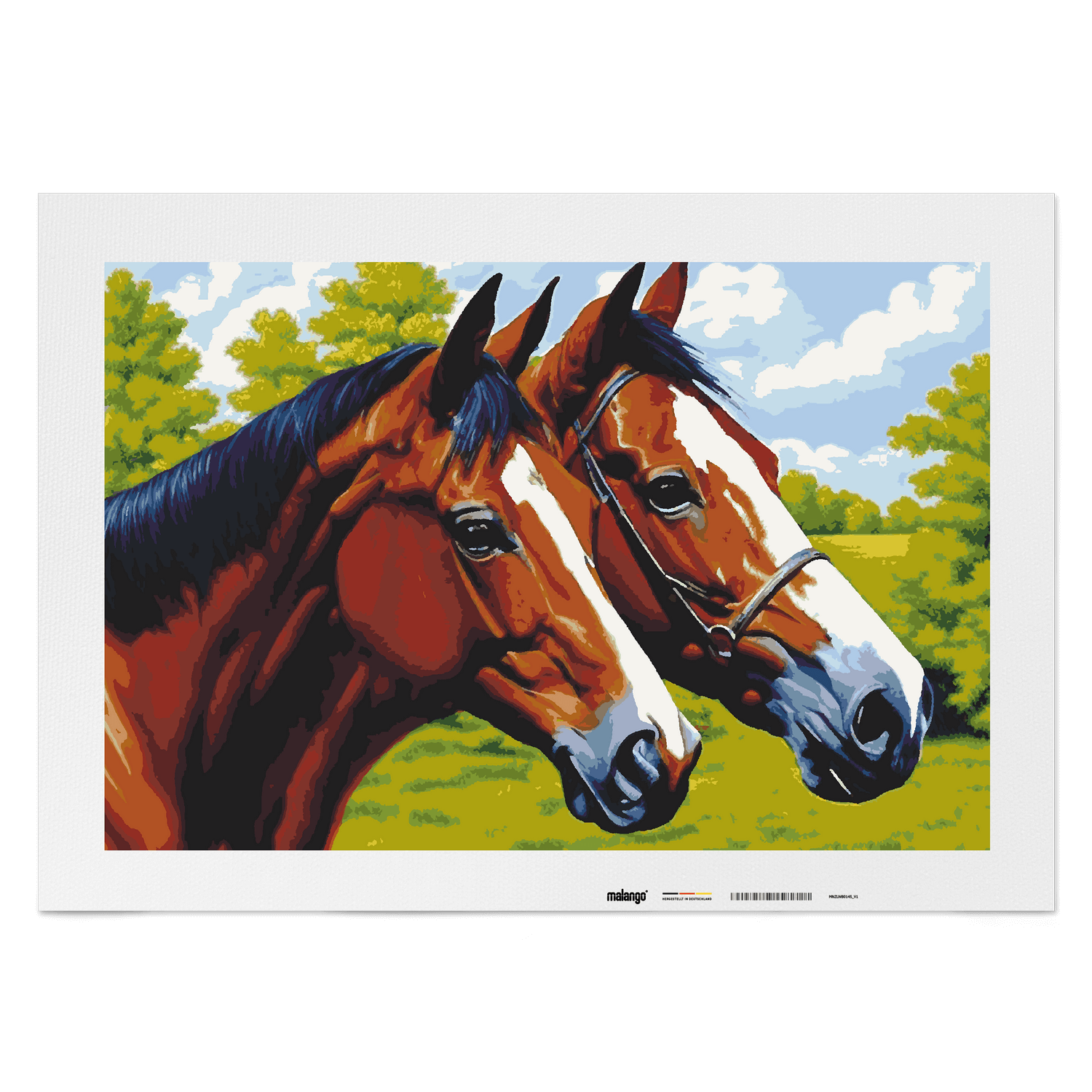 Malen nach Zahlen - Primus und Primera