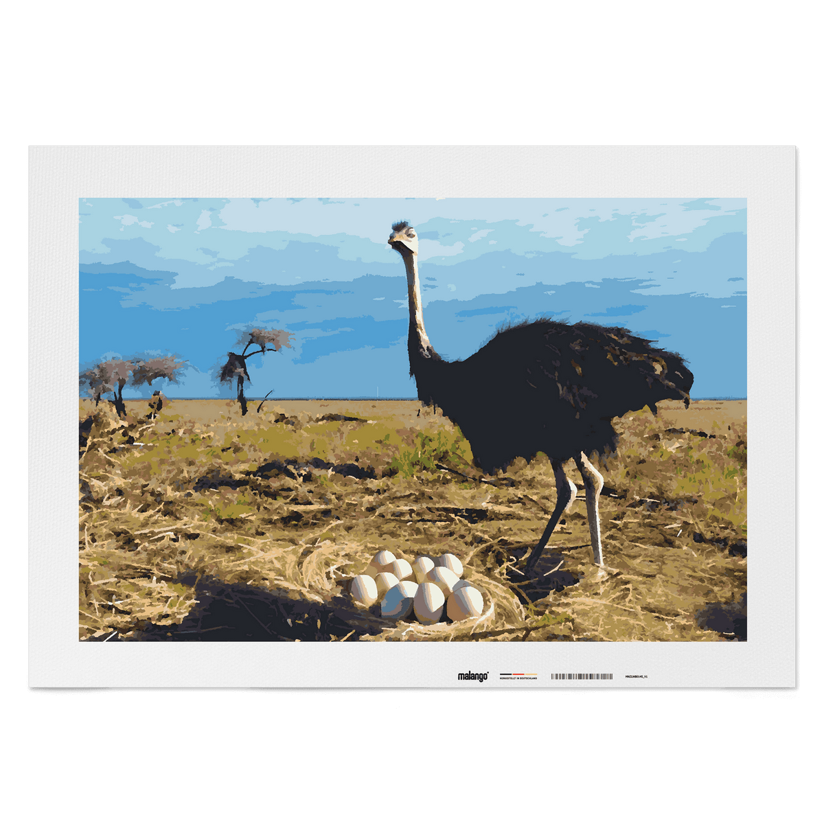 Malen nach Zahlen - Strauss Stefanie