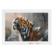 Malen nach Zahlen - Tiger Tom