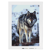Malen nach Zahlen - Wolf Walter