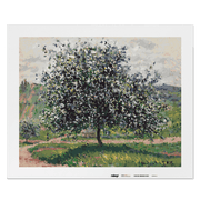 Malen nach Zahlen - Der Apfelbaum - Claude Monet